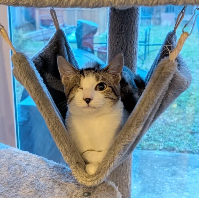 Edward "eddie" Teach