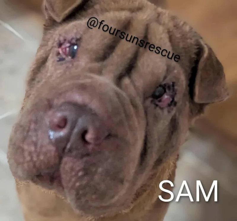 Sam