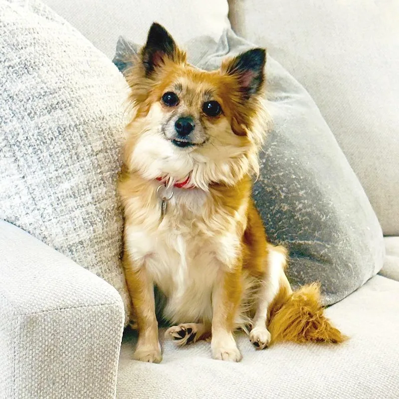 Delta Dawn thumbnail 4