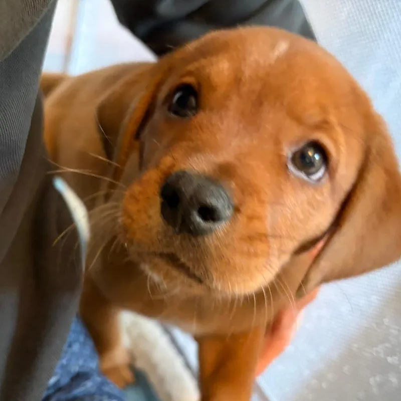 Oakley thumbnail 2