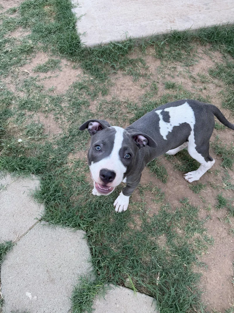 Chloe thumbnail 3