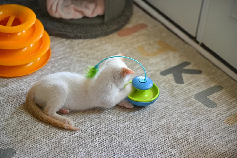 Hollywood thumbnail 2