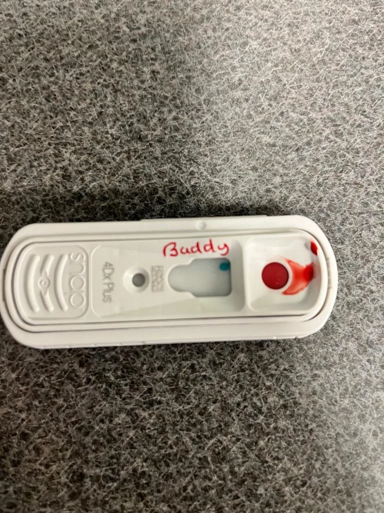 Bubbybuddy thumbnail 2