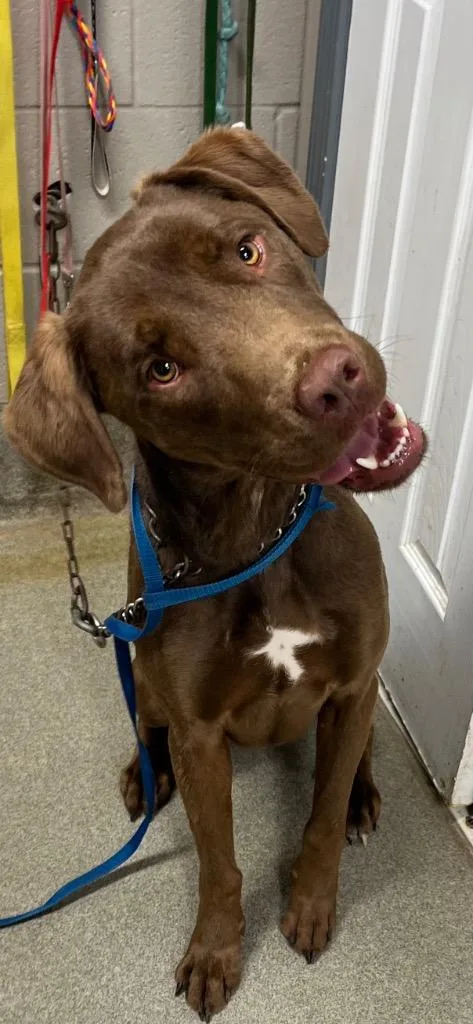 Bubbybuddy thumbnail 3