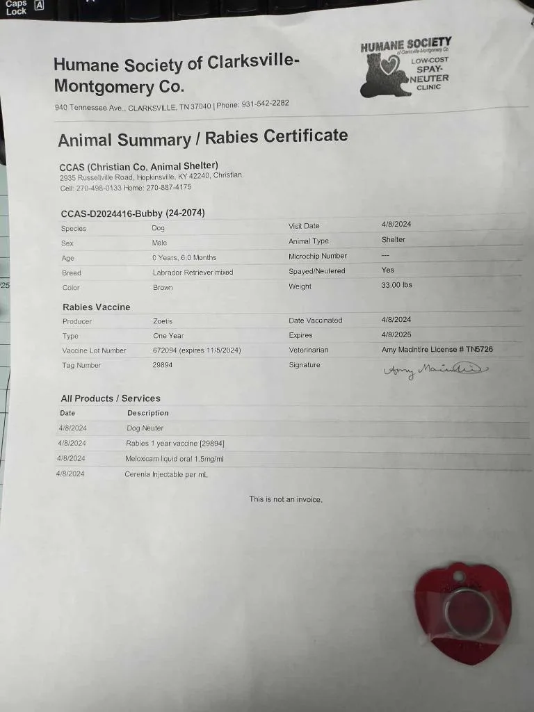 Bubbybuddy thumbnail 5