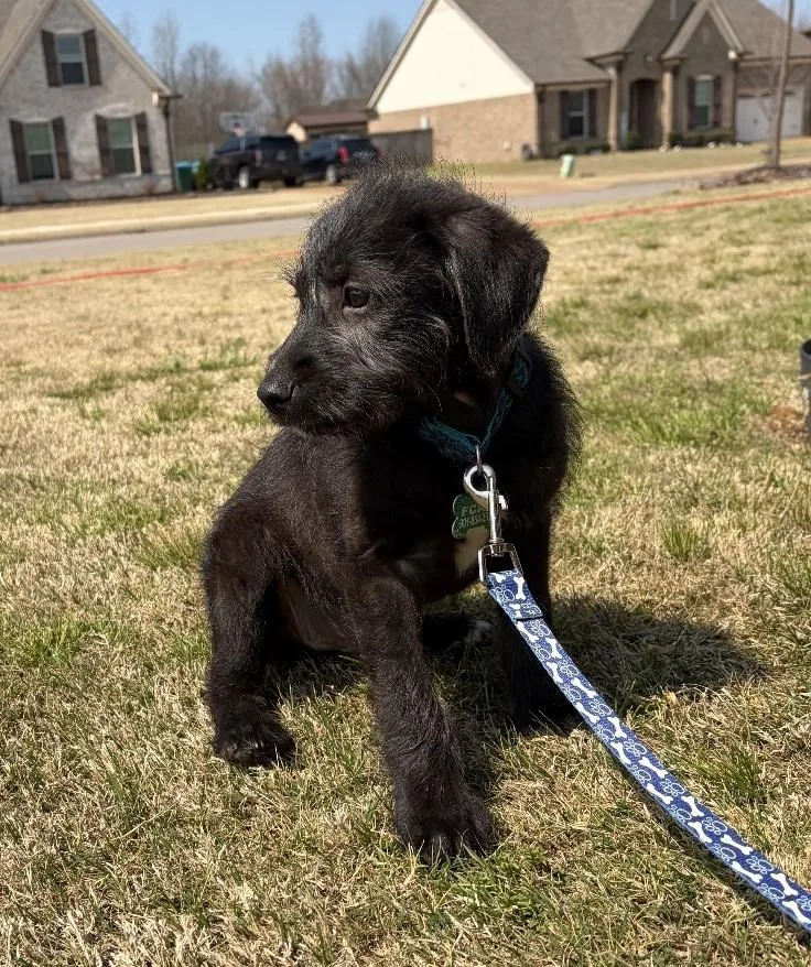 Eastwood thumbnail 2