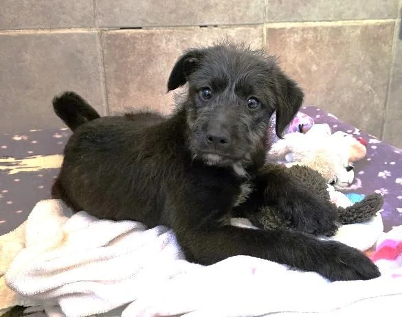 Eastwood thumbnail 4