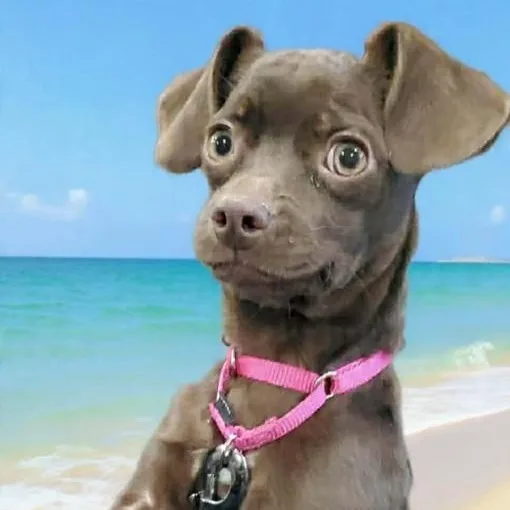 Oriana Christie thumbnail 2