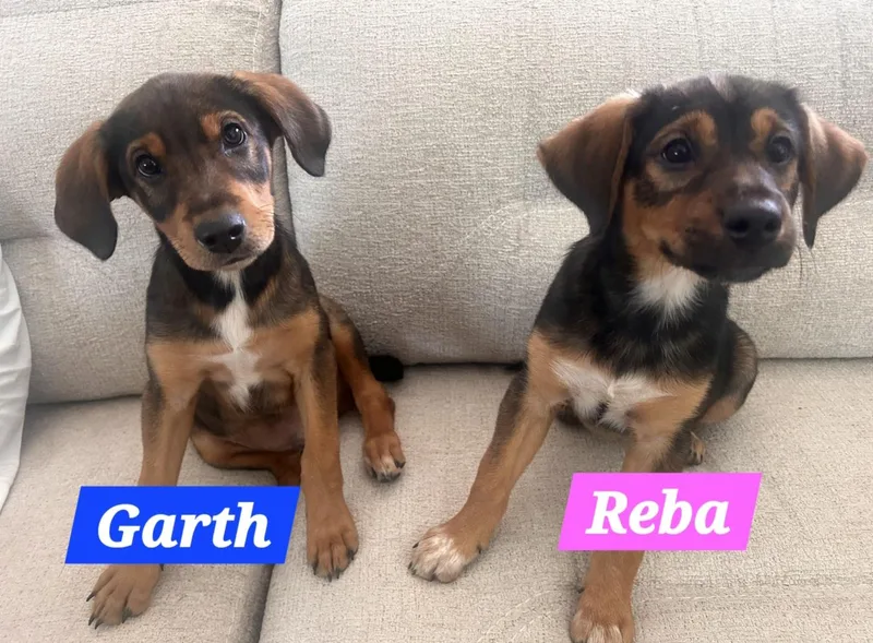 Garth thumbnail 2