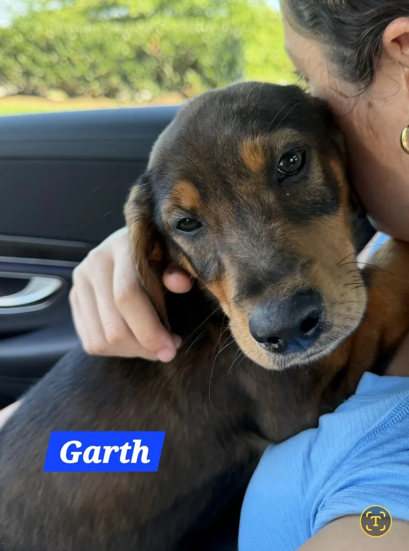 Garth thumbnail 3