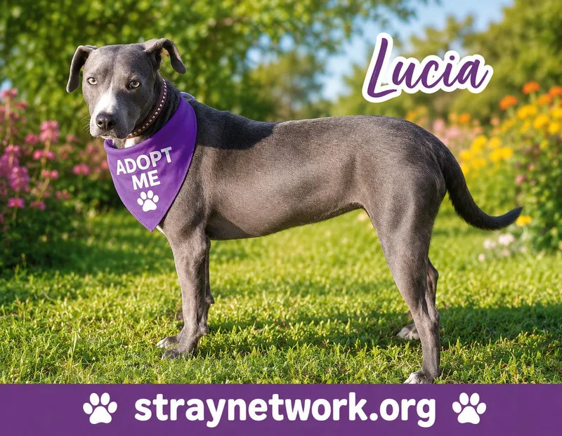 Lucia thumbnail 2