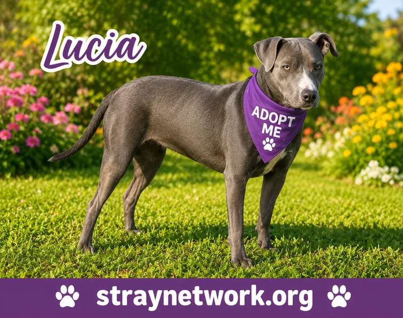 Lucia thumbnail 3