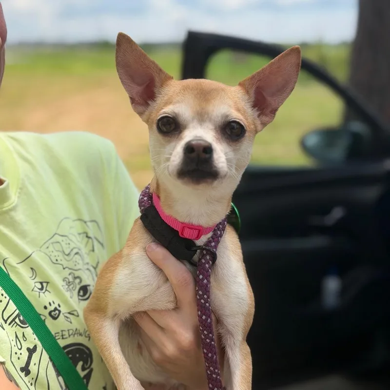Chloe Bug thumbnail 2