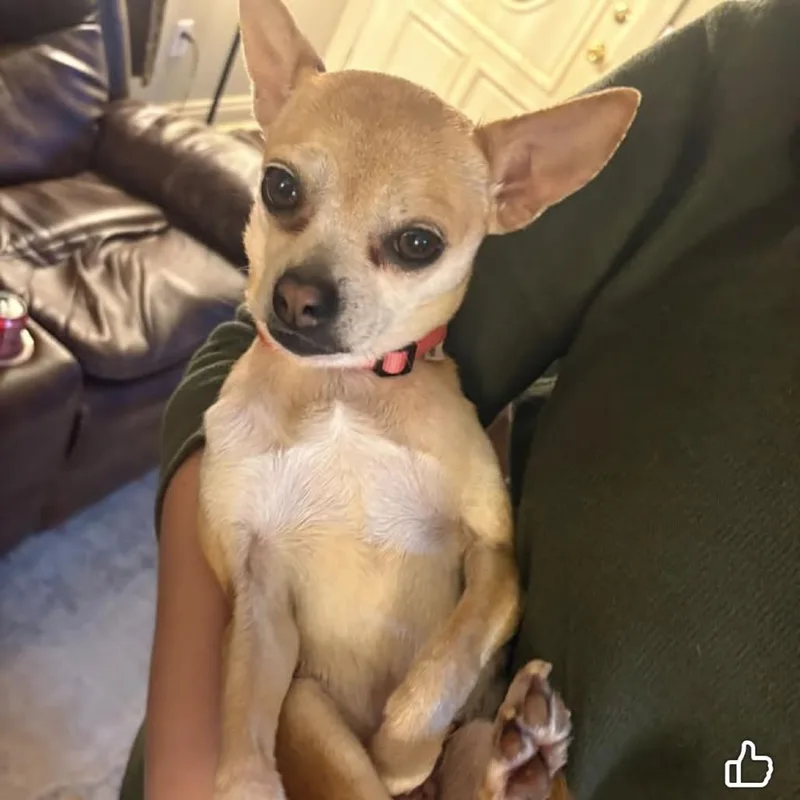 Chloe Bug thumbnail 3