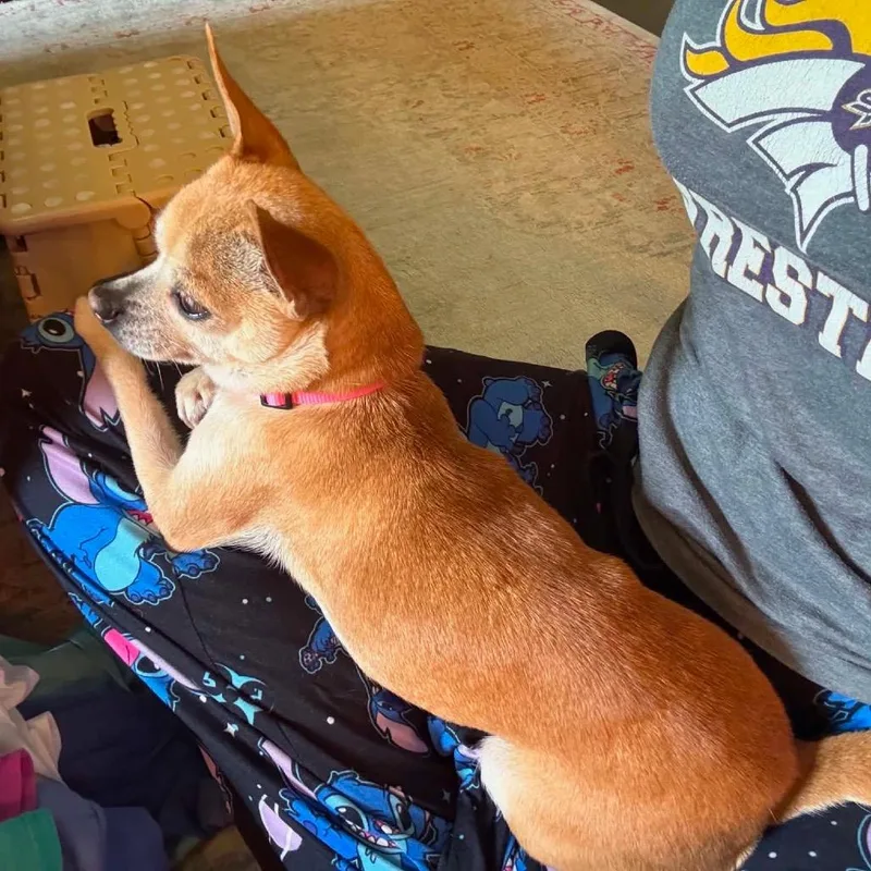 Chloe Bug thumbnail 4