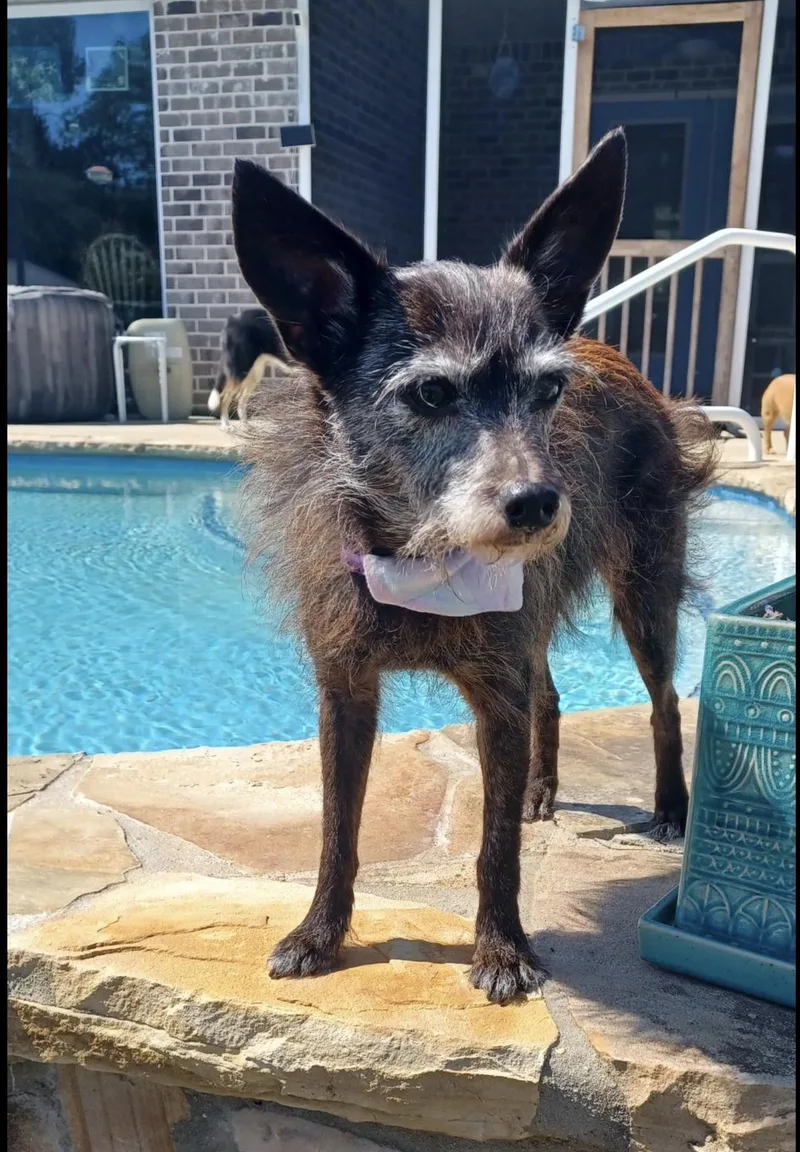 Coco thumbnail 3