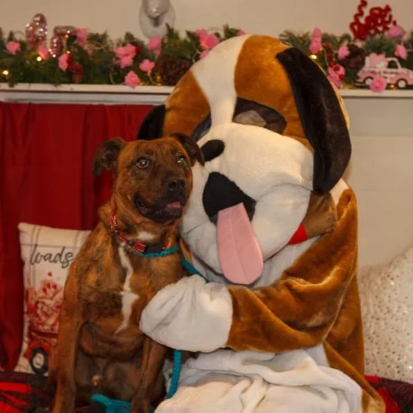 Tamarack thumbnail 4