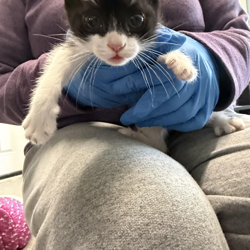 Zarrah & Salem thumbnail 4