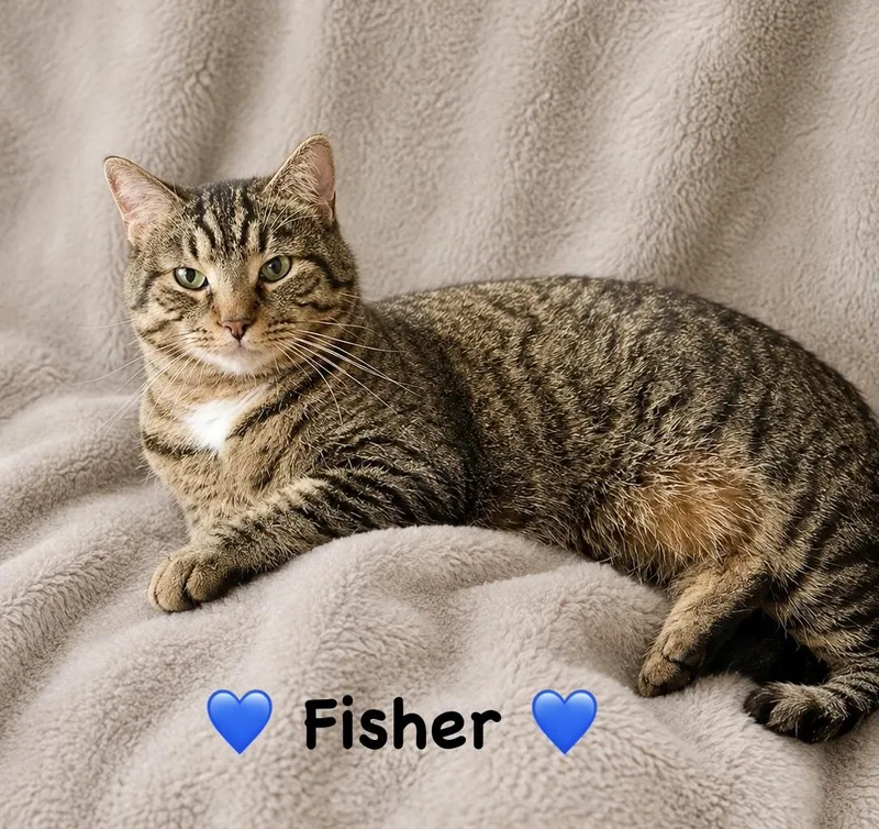 Fisher thumbnail 2