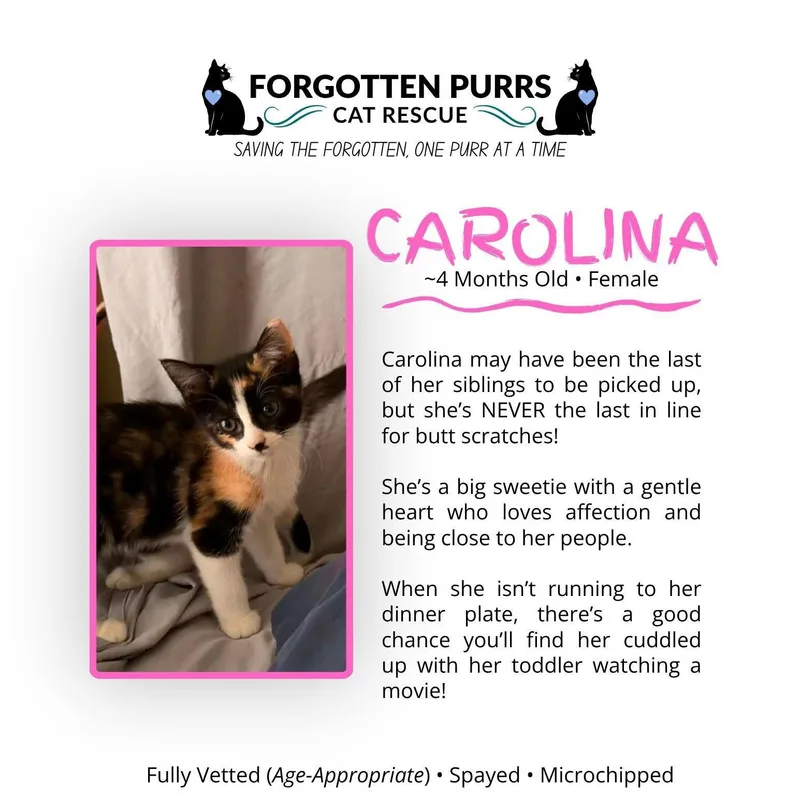 Carolina
