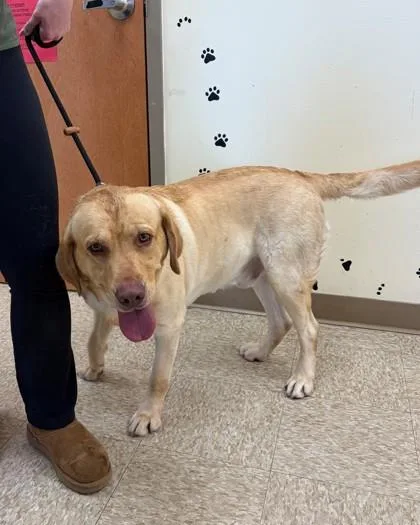 Philbman thumbnail 2