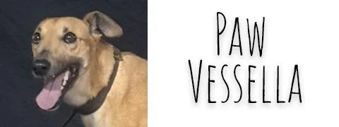 Paw Vessella thumbnail 3
