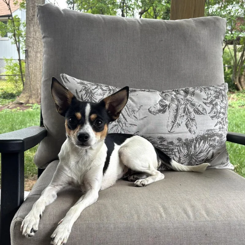 Mia