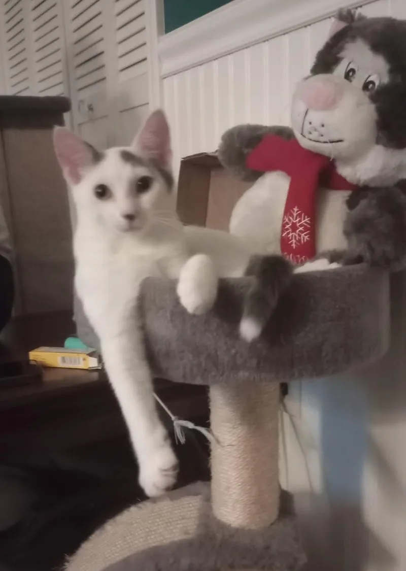 Leo And Jasmine thumbnail 2