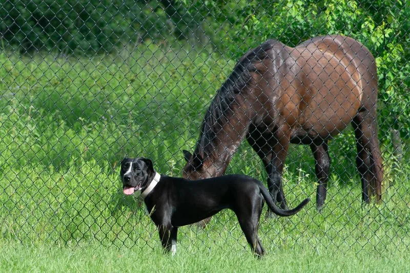 Rosie Beth thumbnail 2