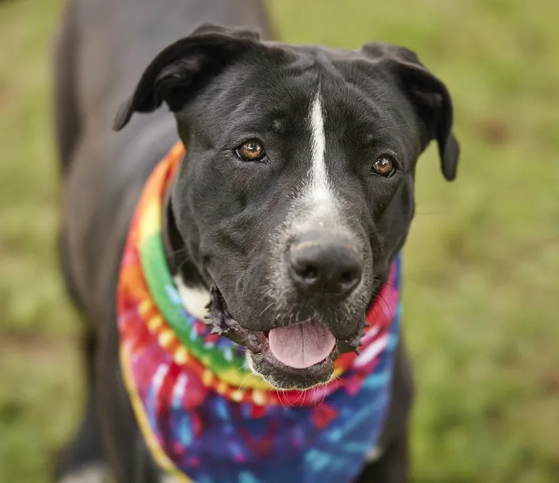 Rosie Beth thumbnail 3