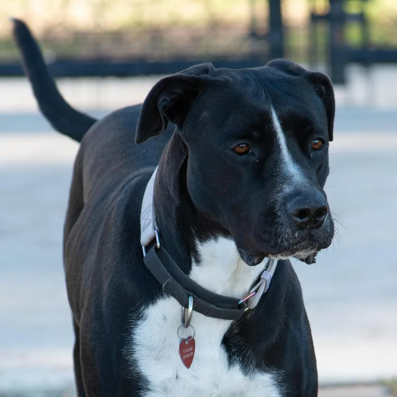 Rosie Beth thumbnail 6