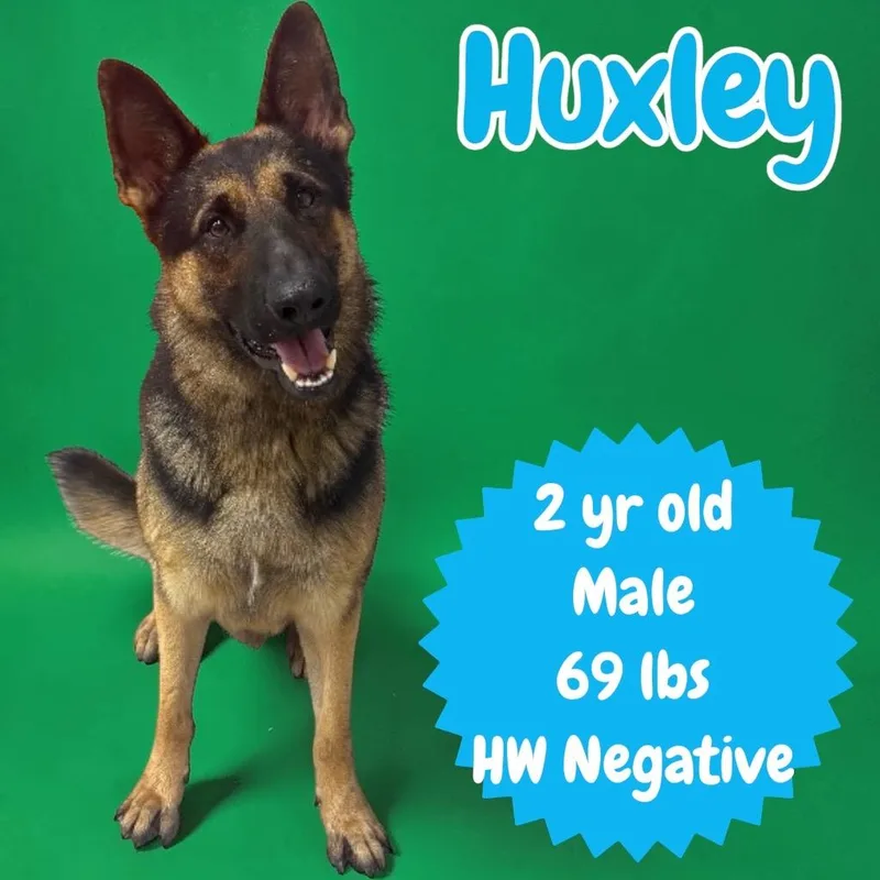Huxley