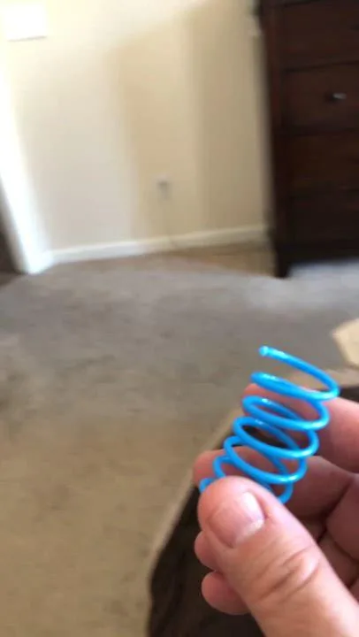 Lyra Indoor Only thumbnail 5