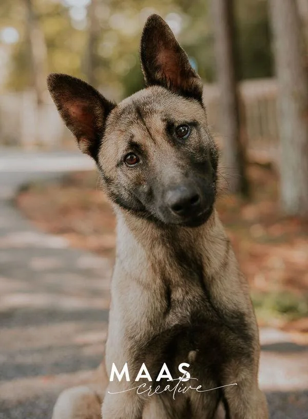 Ruger