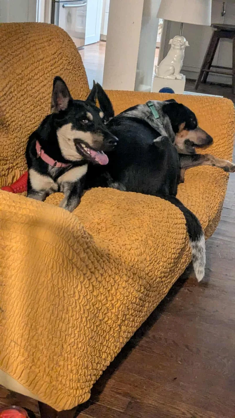 Prince : A Perfect thumbnail 2