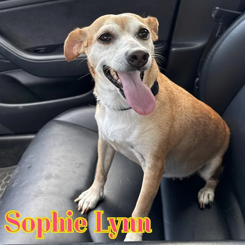 Sophie Lynn thumbnail 2
