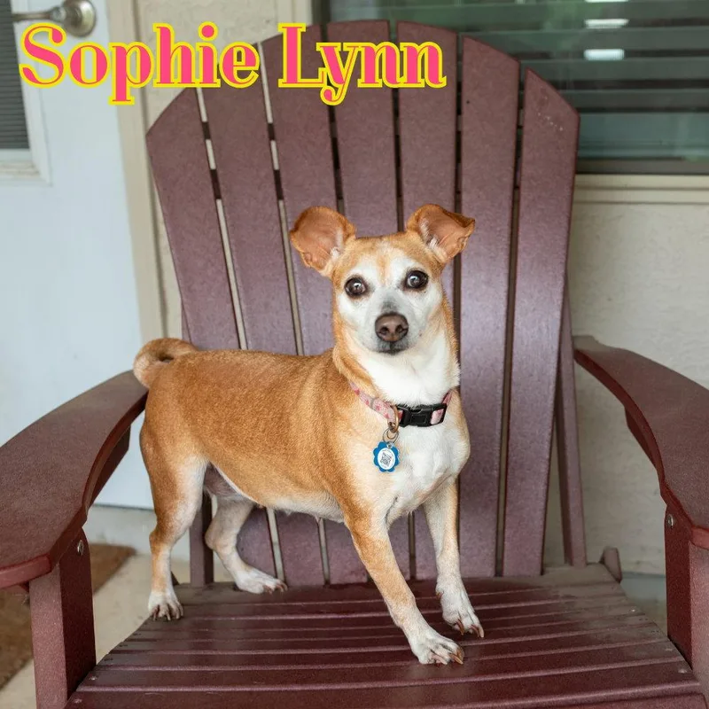 Sophie Lynn thumbnail 3