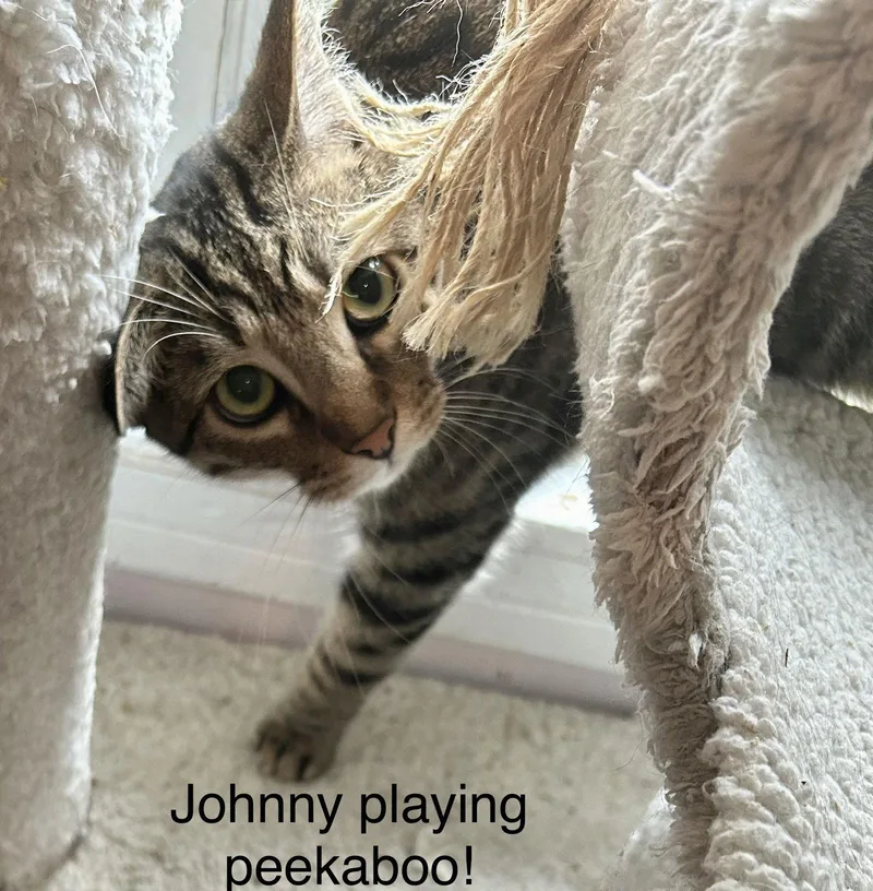 Johnny thumbnail 2