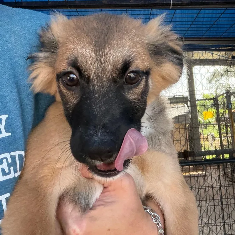 Sarah