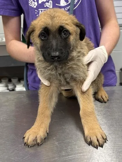 Tina