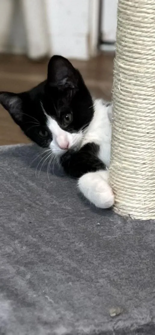 Sophie