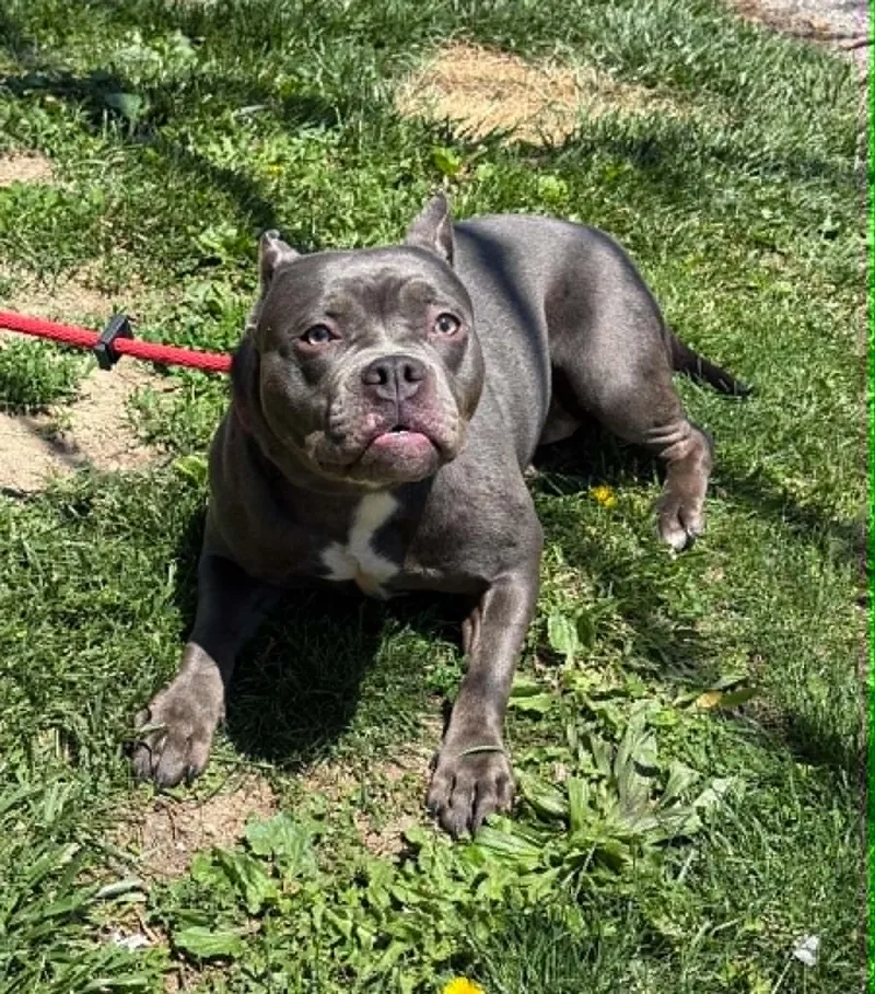 Ethel