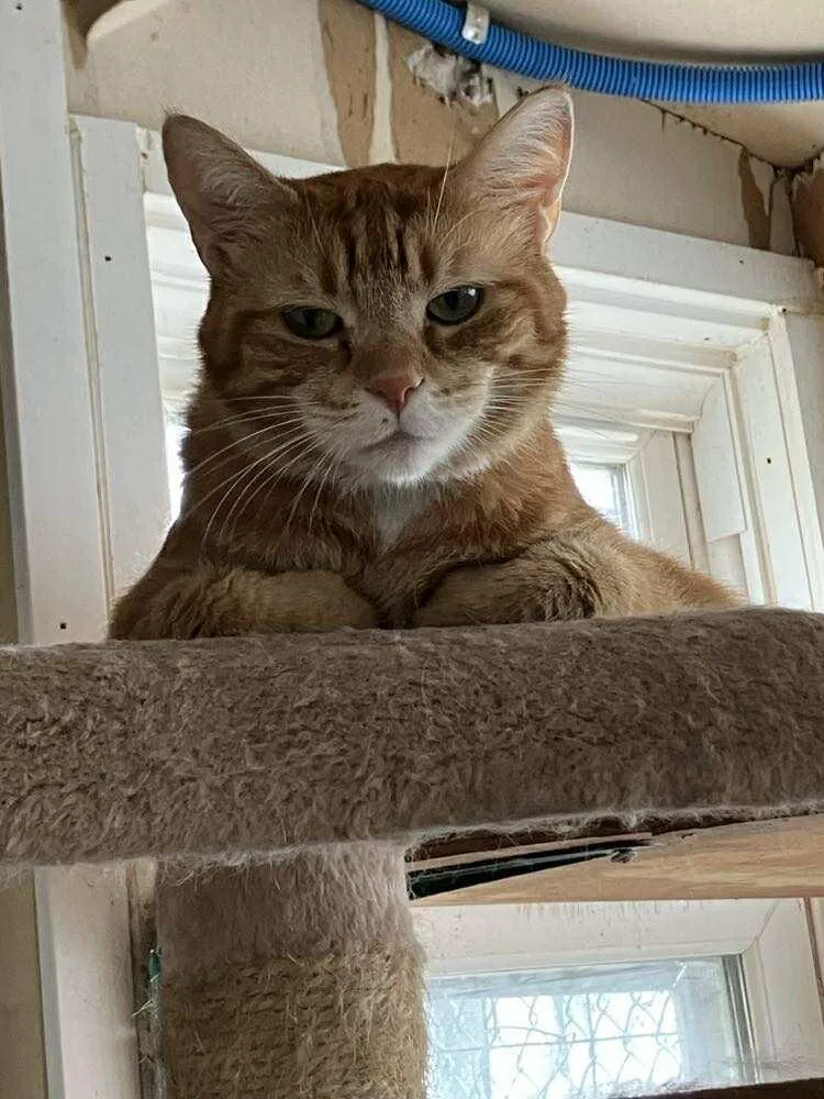 Squash Whiskers Jones thumbnail 3