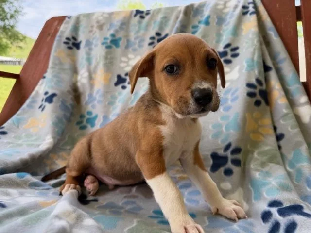 Murry Mojito thumbnail 2