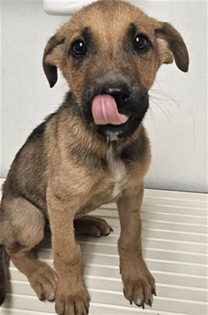 Zero  URGENT
