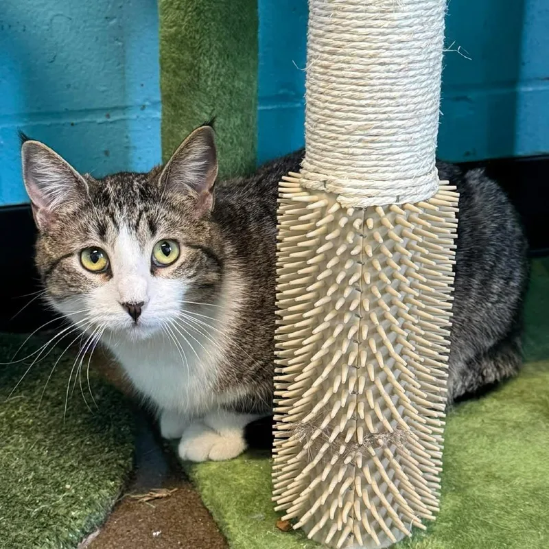 Jeanette thumbnail 3