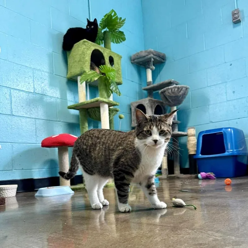 Jeanette thumbnail 4