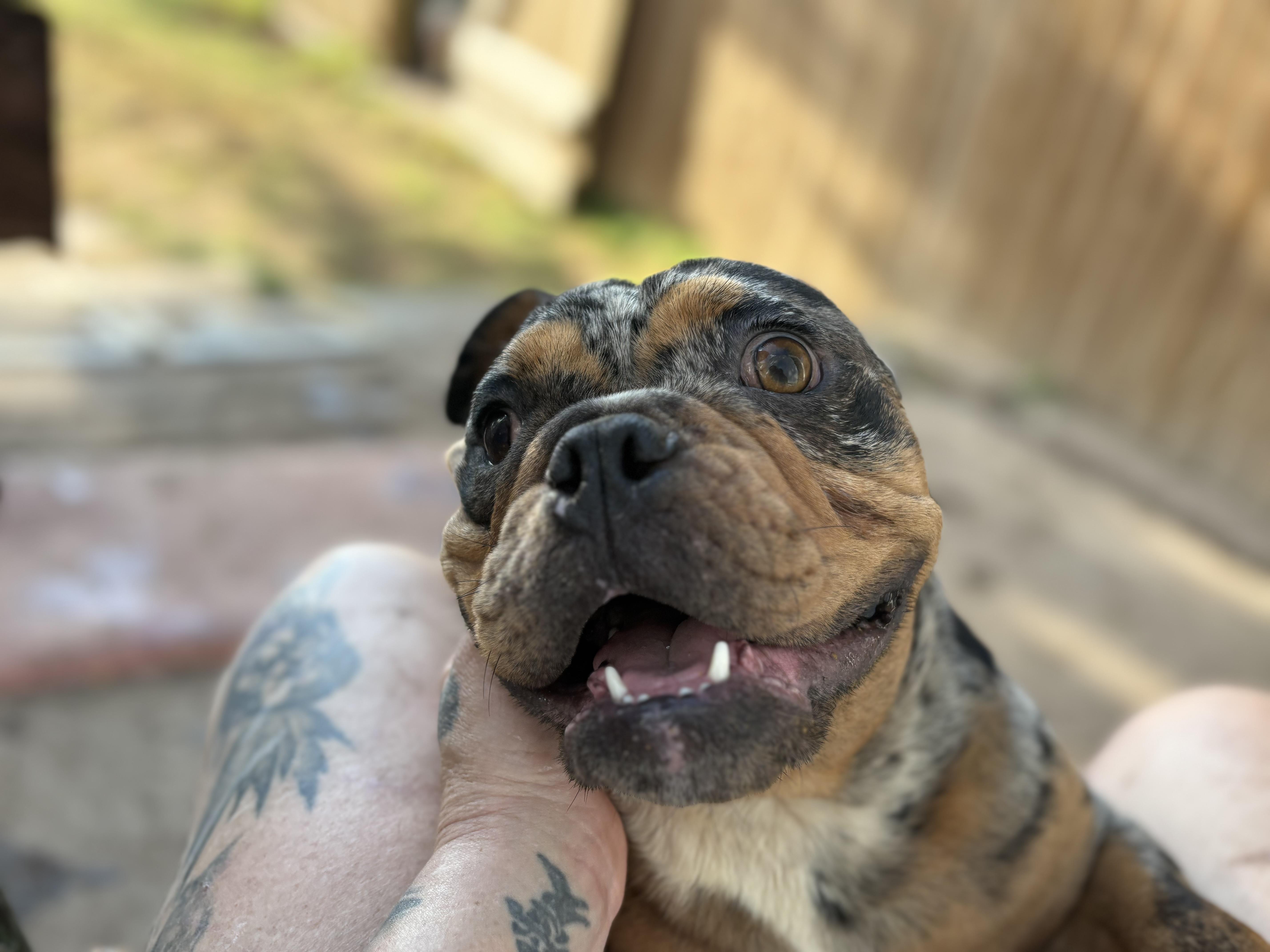 Freckles thumbnail 2