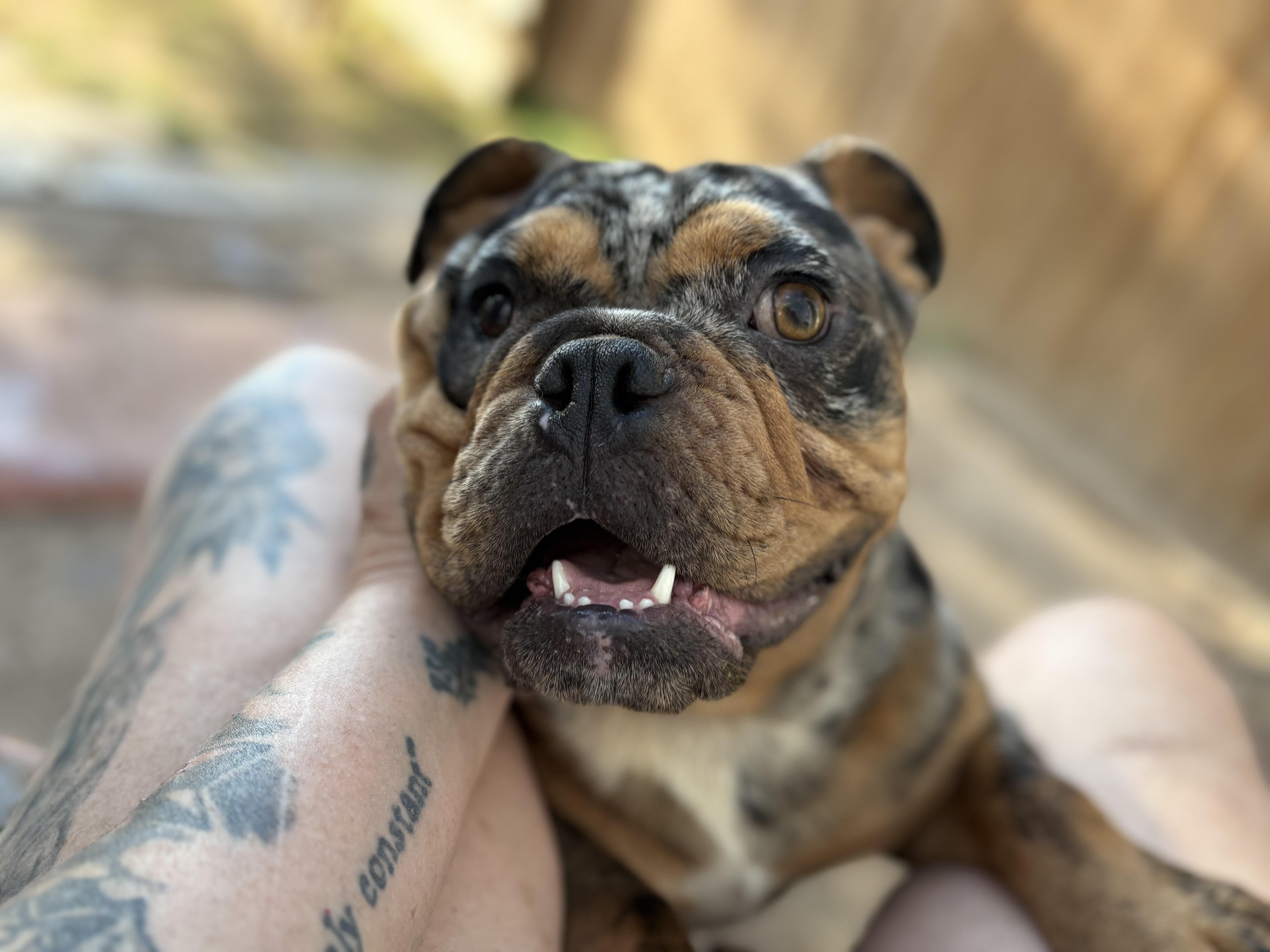 Freckles thumbnail 4