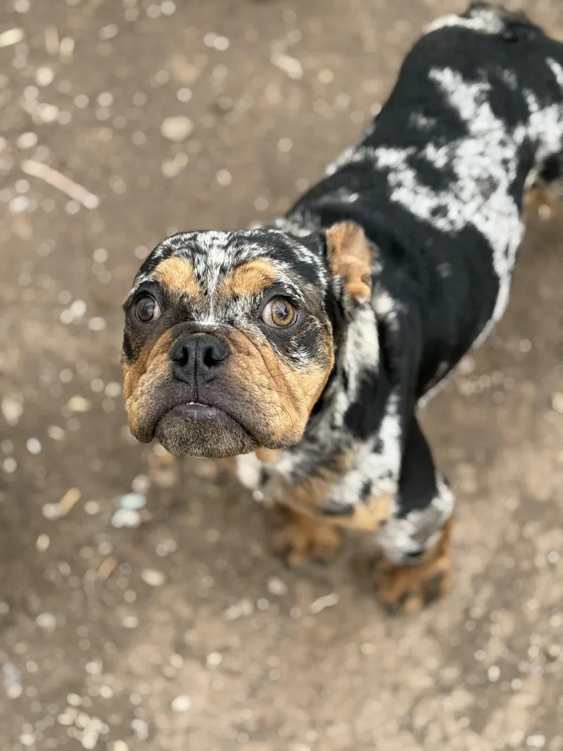 Freckles thumbnail 5